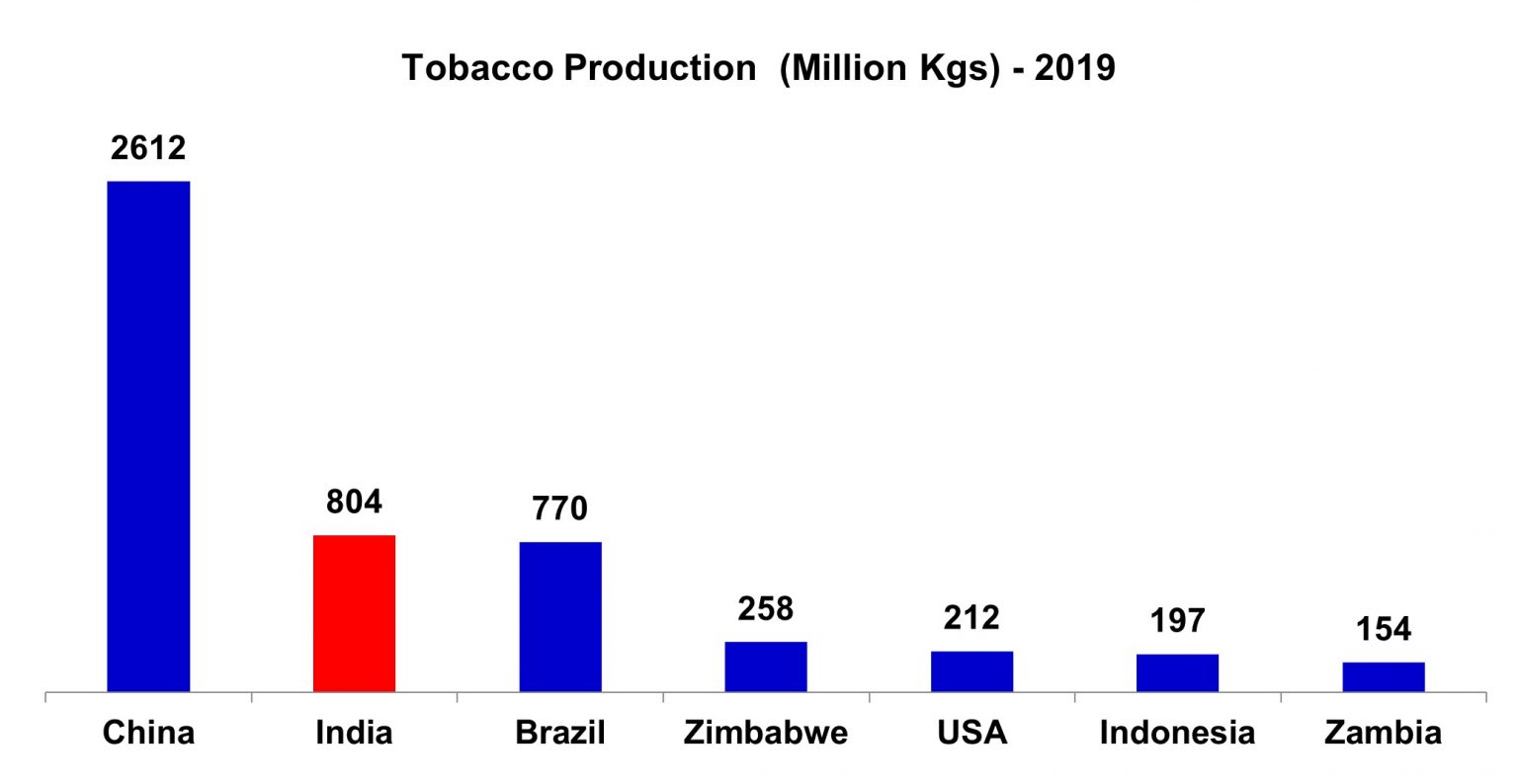 Tobacco Production Tobacco Crop