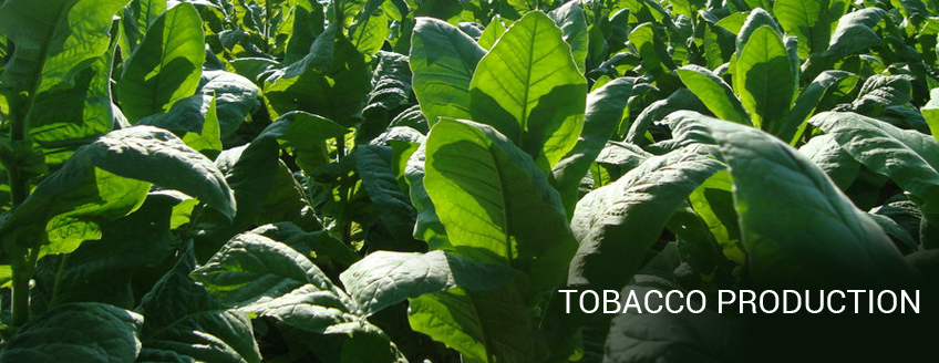 tobacco prices in belgium 2024 How long can Luxembourg's tobacco model last?